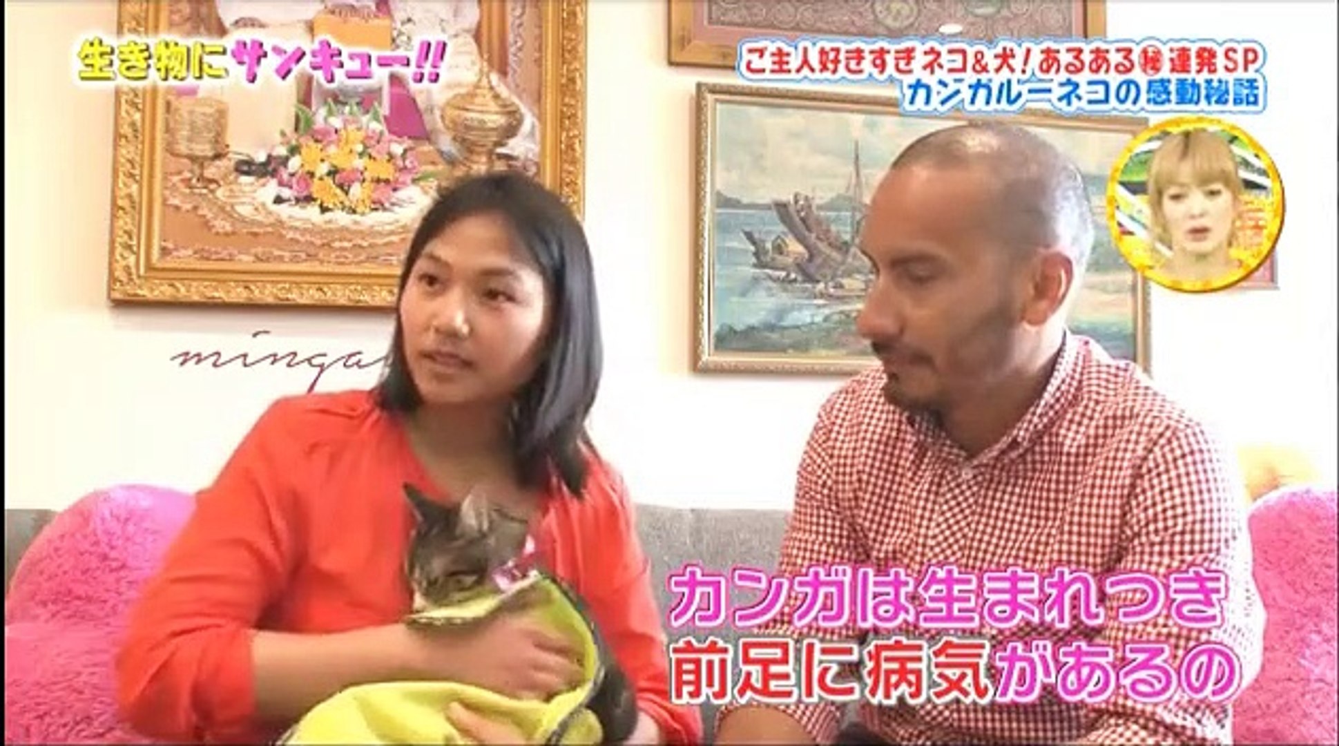 トコトン掘り下げ隊 生き物にサンキュー 1 2 16年4月日 1604 ネコや犬の心がわかるｓｐ Part 2 2 Video Dailymotion