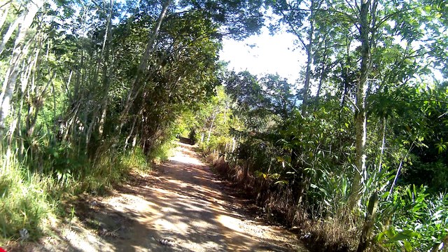 4k, Mtb, Single Track, trilhas da Fazenda Esmeralda, 12 bikers, (96)