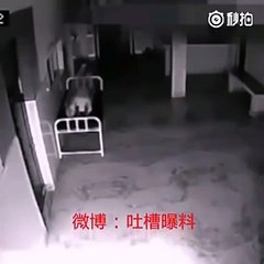 Une femme meurt à l'hôpital. Puis la caméra capte des images à donner la chair de poule...