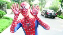 (7)_ Lion Chase Spiderman! Giant Lion in real life Spiderman Hulk Venom Joker Superheroes Children Action