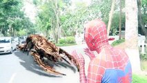 (5)_ Lion Chase Spiderman! Giant Lion in real life Spiderman Hulk Venom Joker Superheroes Children Action