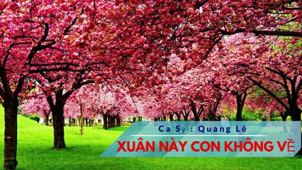 Xuân Này Con Không Về Karaoke HD