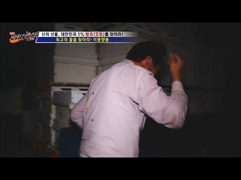 갑자기 시작된 벌들의 습격![뉴 코리아 헌터] 1회 20160609