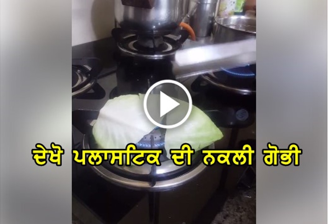 plastic di gobhi