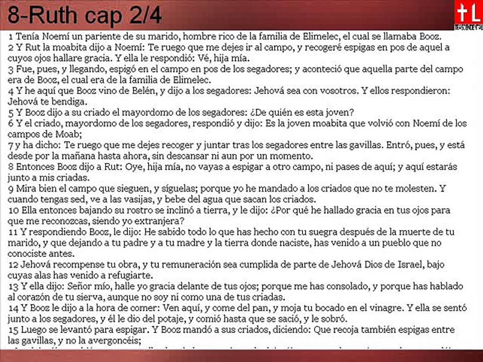 8-Rut