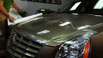 3M ScotchGard Paint Protection Film at 3M Car