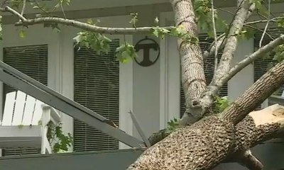 Badai Menyapu 3 Negara Bagian AS