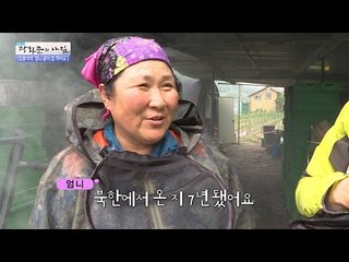 북에서 온 꿀벌 엄니를 위한 밥상 [광화문의 아침] 249회 20160609