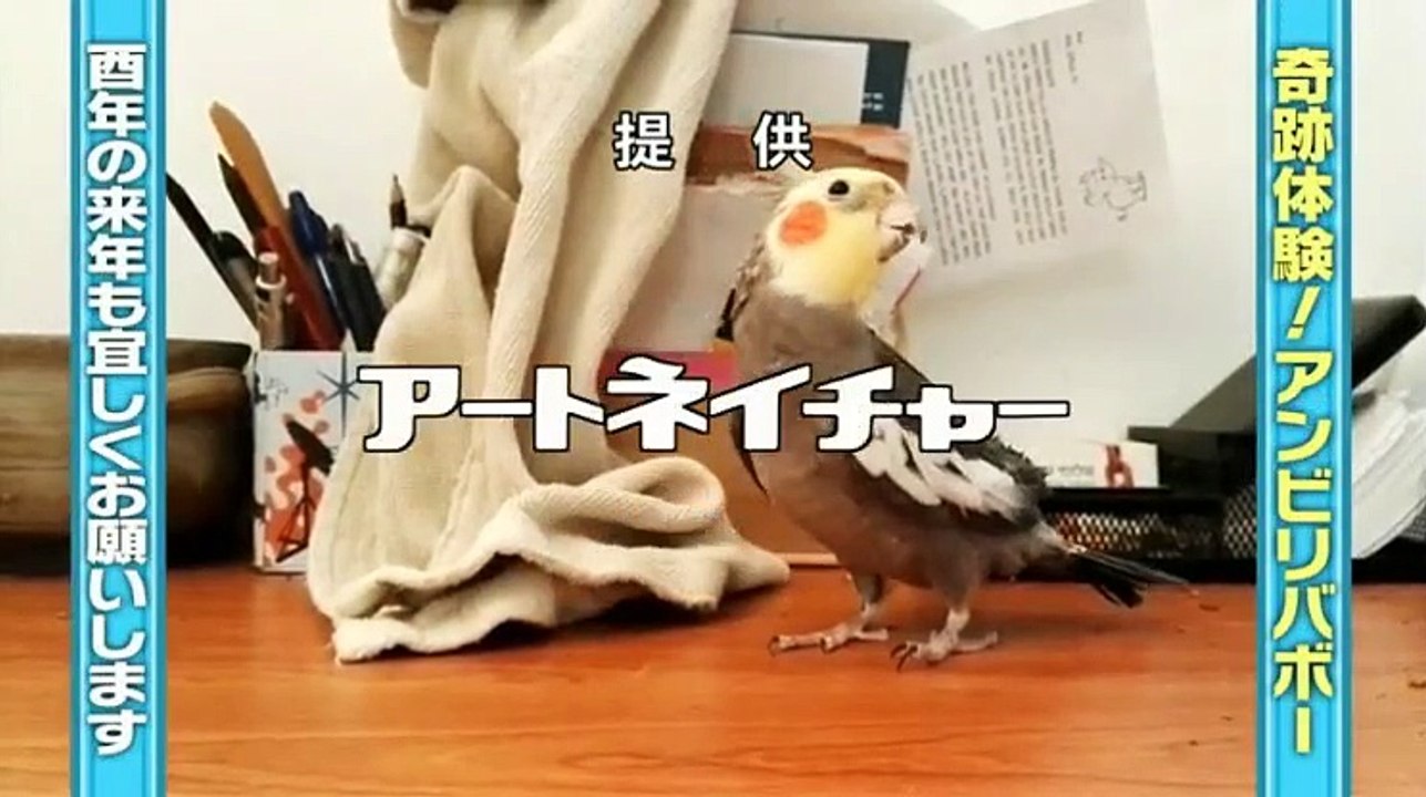 奇跡体験!アンビリバボー 動画 12月15日 part 2/2