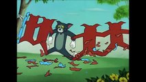 Tom and Jerry, 62 Episode - Cat Napping (1951) [HD, 1280x720]
