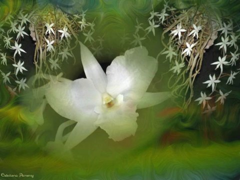 dedicace pour melodie joyeux anniversaire ma melie mamoune......