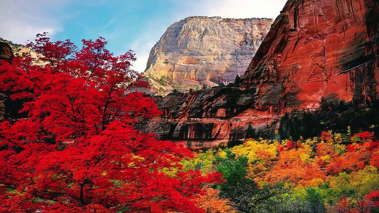 Zion National Park
