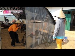 며느리와 함께 새참 배달 [엄마의 봄날] 45회 20160606