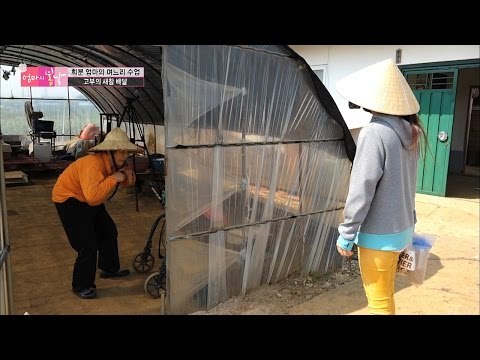 며느리와 함께 새참 배달 [엄마의 봄날] 45회 20160606