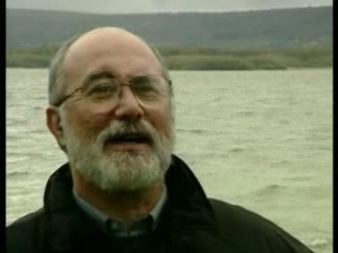 Le Galgo et le Podenco Ibizenco