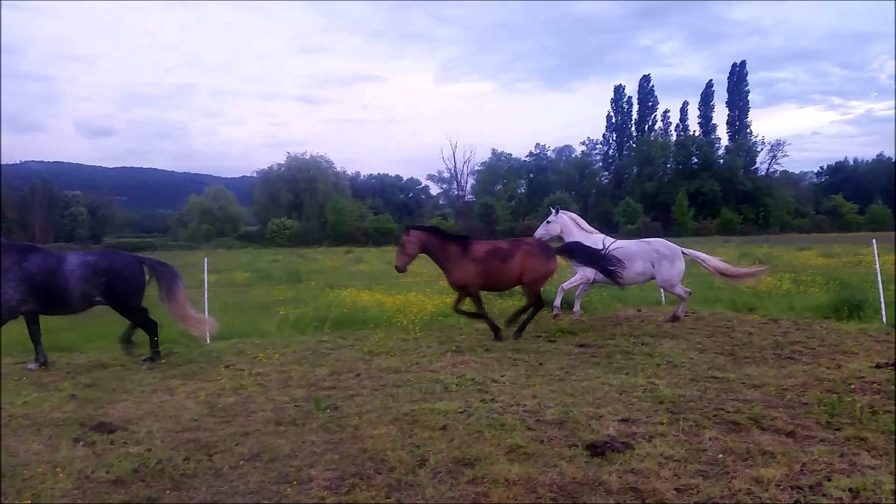 Coup de folie après la pluie