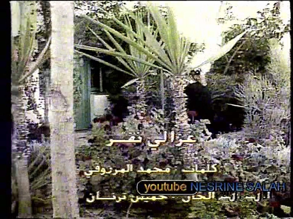 الفنانة الراحلة علية ــ غـــزالي أنفر