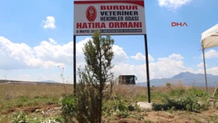 Burdur Veteriner Hekimler Fidan Dikti