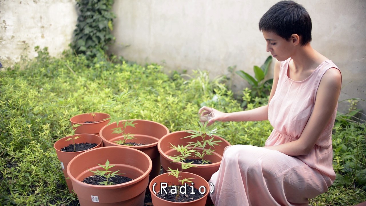 Fedra de Juan Pablo Nuñez, Marianne Crooke - Pargny-les-Reims (51)
