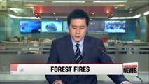Korean government moves to extinguish forest fire