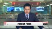 Korean government moves to extinguish forest fire