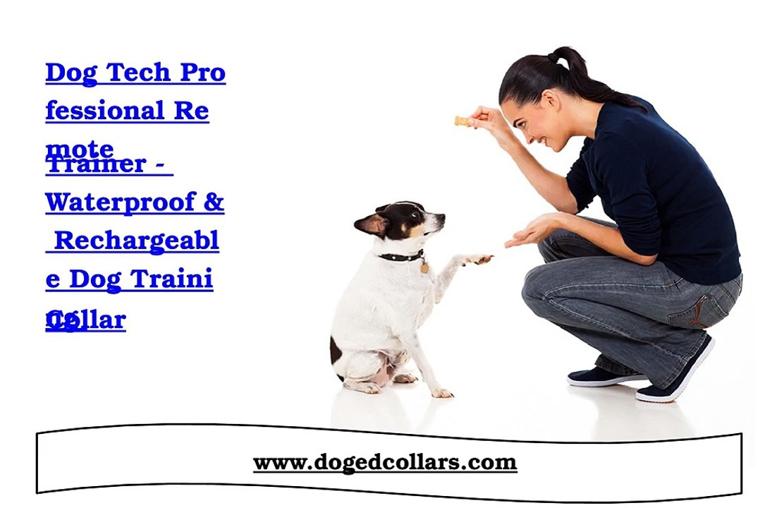 Dog tech professional remote trainer - Waterproof & Rechargeable dog training collar