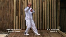 Wing Chun for beginners lesson 8 basic hand exercisestatic straight punch