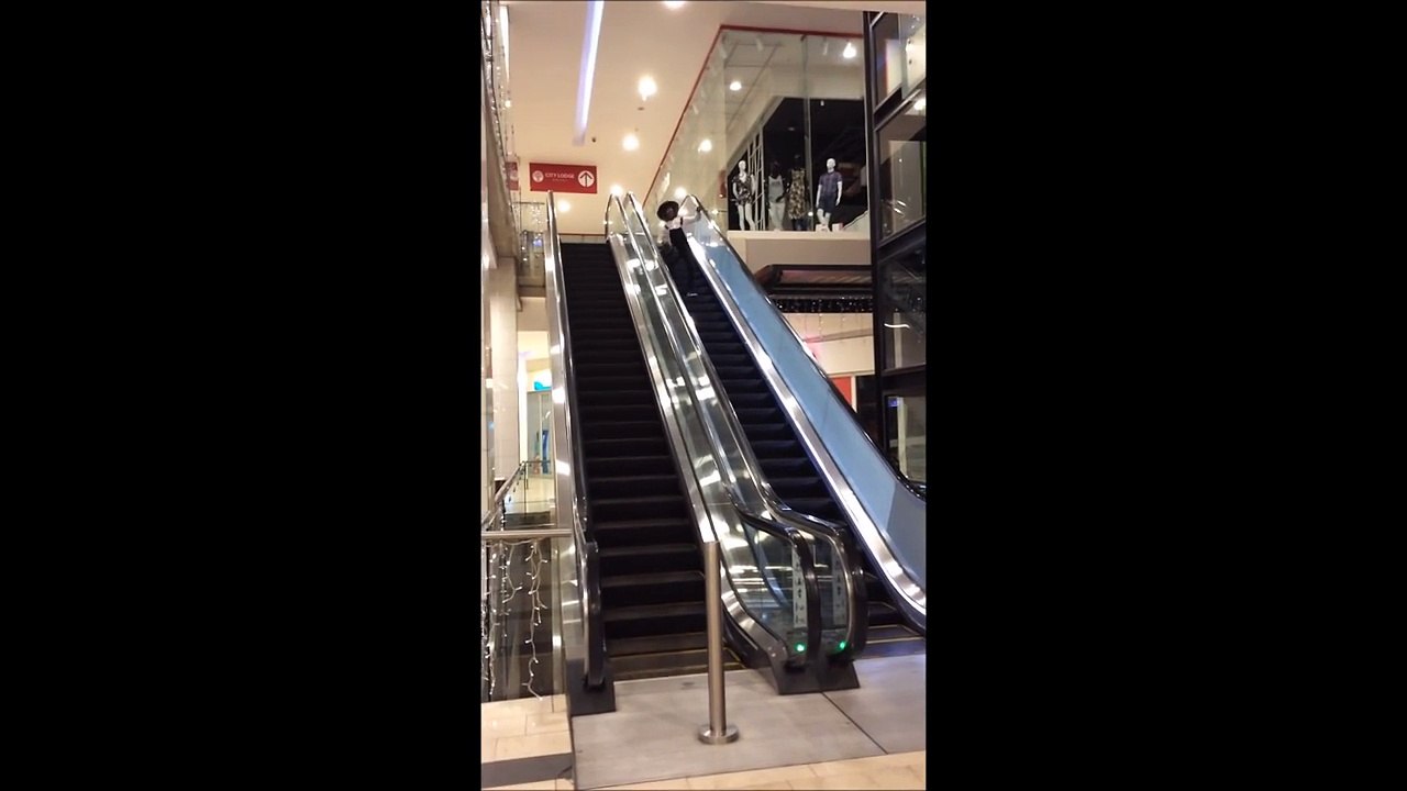 King Monada Leeto (to Botswana via Onty) Nkupi PARODY