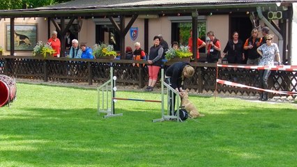 RL-LG05 3.Tag Agility 004