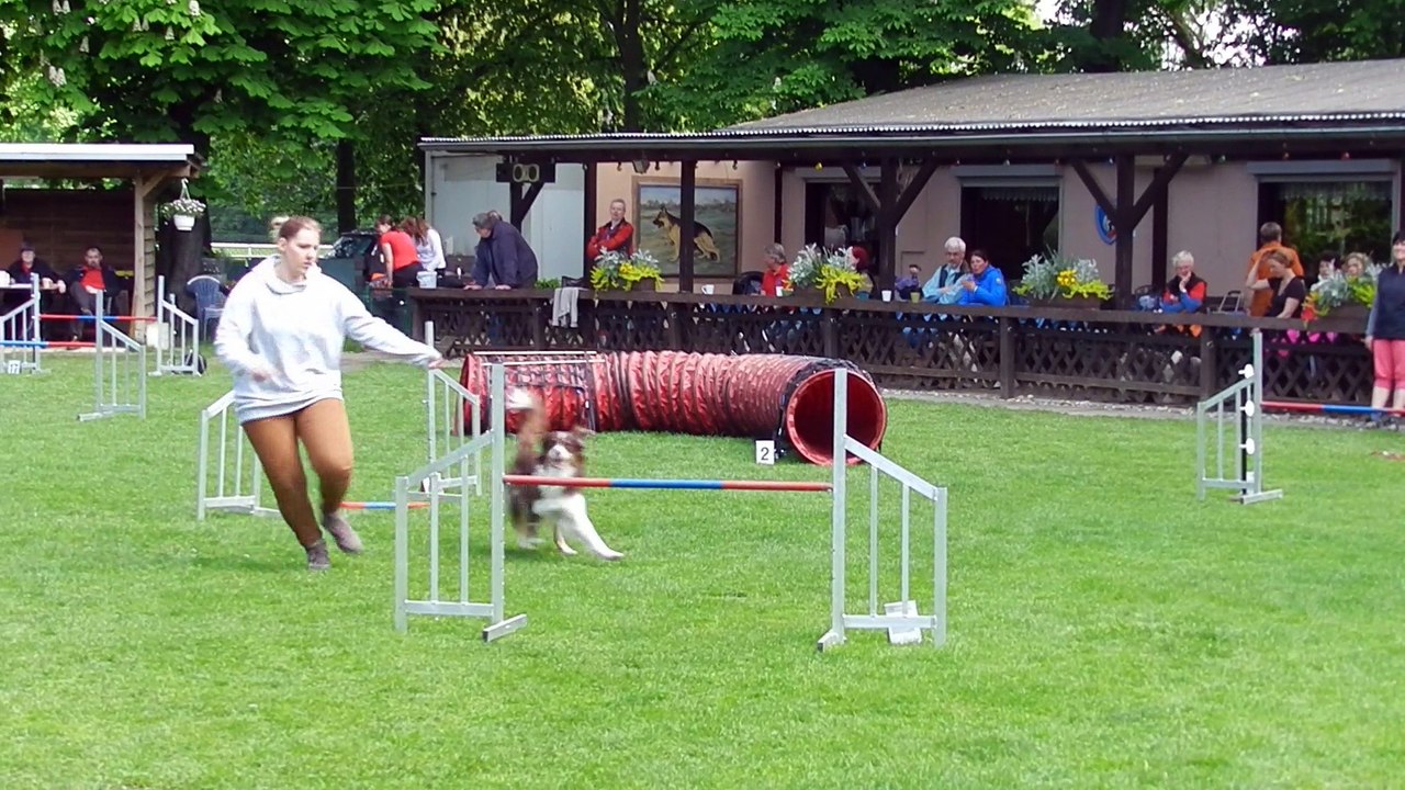 RL-LG05 3.Tag Agility 006