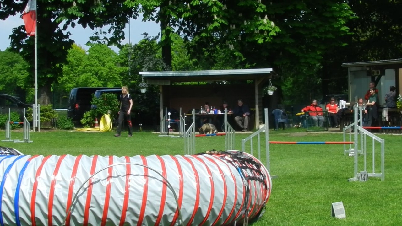 RL-LG05 3.Tag Agility 011 Pheobe