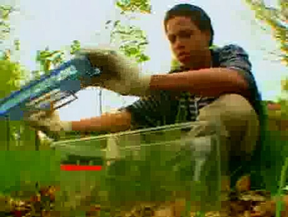 Bill Nye The Science Guy S4E06 Spiders
