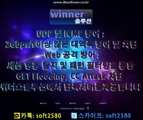 토토 솔루션 제작 업체 위너솔루션 추천!!