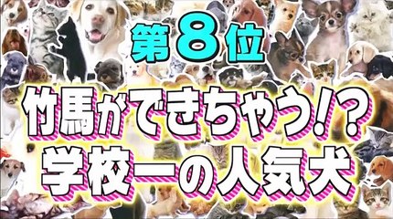 超かわいい映像連発！どうぶつピース!! 総勢117匹!巷でちょっと話題の犬猫SP 2017年4月21日 170421 part 1/2