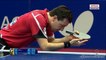 Timo BOLL vs Dimitrij OVTCHAROV Highlights Champions League 2017 FINAL