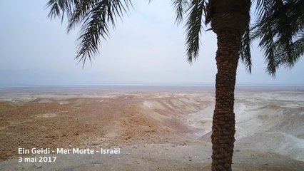 Ein Geidi - Mer Morte - Israel