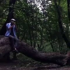 مهربان علی جلالی از گرگان , شماره 34