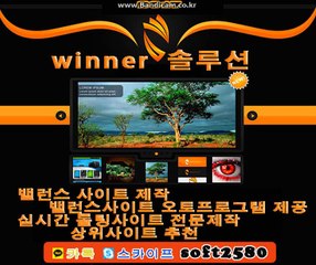 토토솔루션!토토솔루션제작 토토솔루션임대!사설솔루션!사설사이트제작!