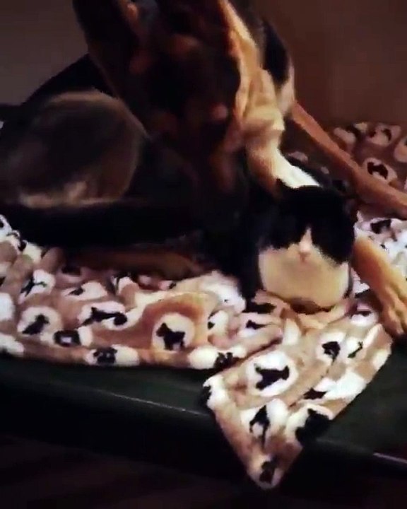 this just made my day