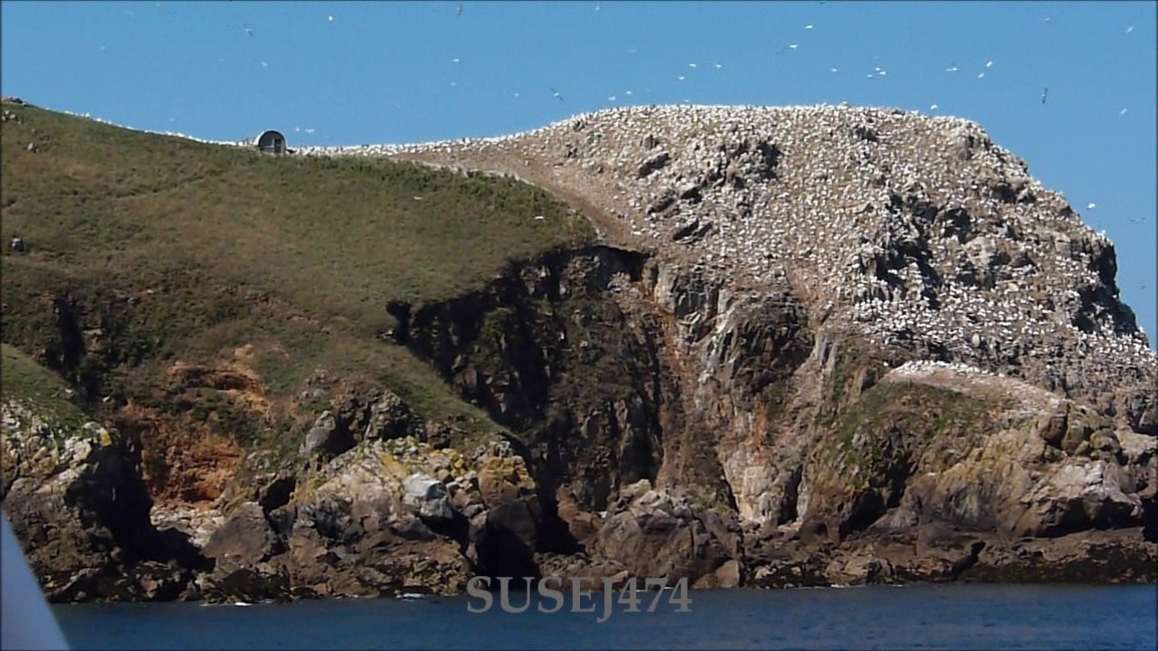 L'ARCHIPEL DES SEPT ILES - LA COTE DE GRANIT ROSE A PERROS-GUIREC (en bateau, été 2014)