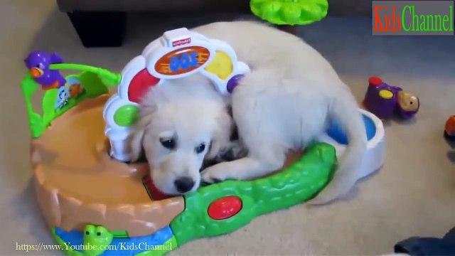 Funny Baby Laughing So Cute Baby Videos Compilation 2015_57