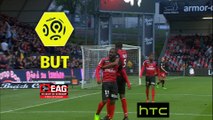 But Yannis SALIBUR (55ème) / EA Guingamp - Dijon FCO - (4-0) - (EAG-DFCO) / 2016-17