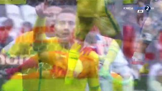 All Goals & Highlights HD - Lyon 3-2 Nantes - 07.05.2017