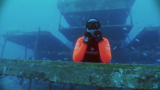 Apnée libre dans les mers tropical avec requins et mérou giant - Freediving - Apnea - Apnoe
