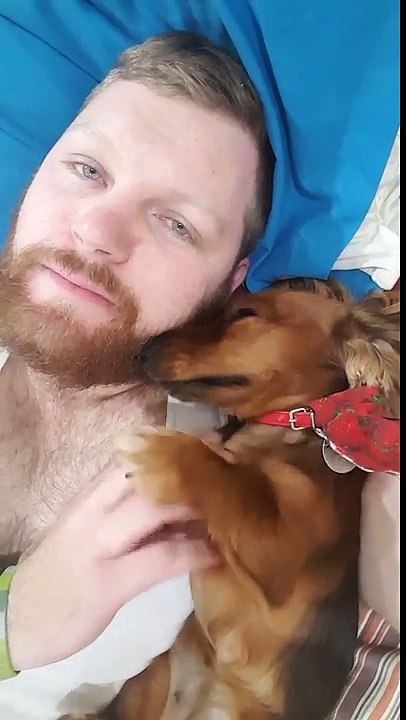 Echanges de gratouilles entre un chien et son maître !