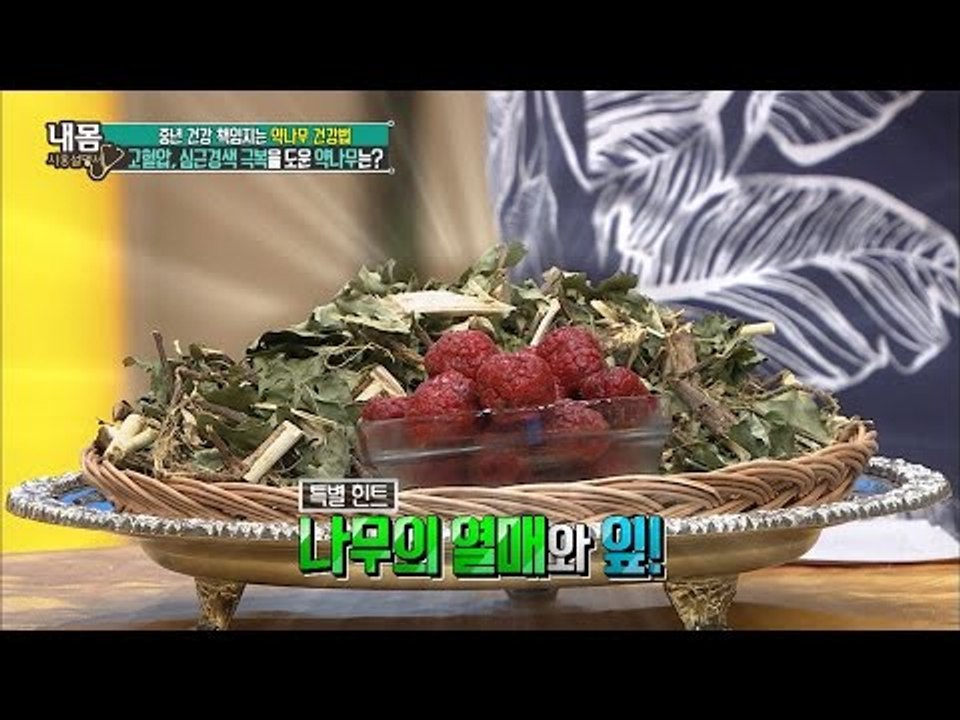 고혈압, 심근경색 극복 도운 약나무는? [내 몸 사용설명서] 105회 20160603