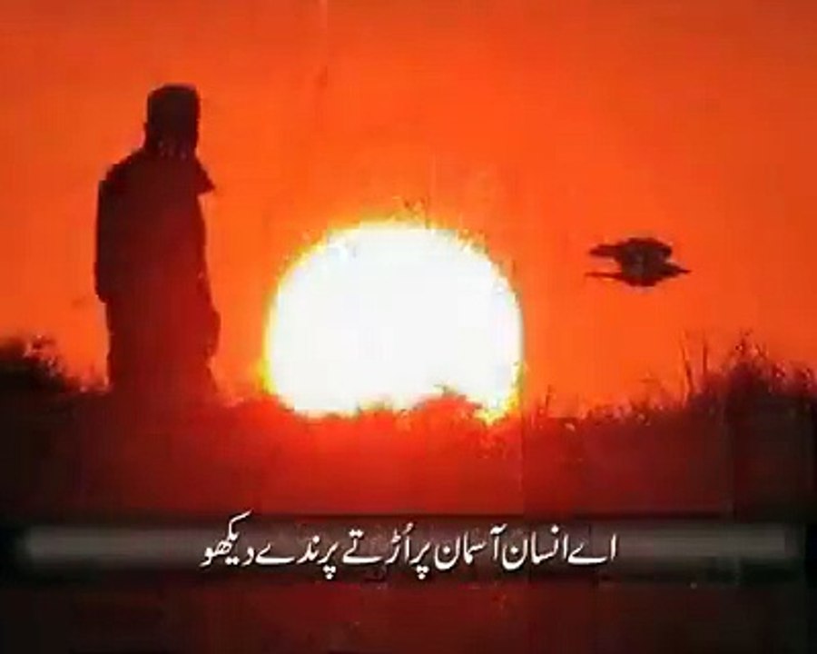 Heart Touching Poetry