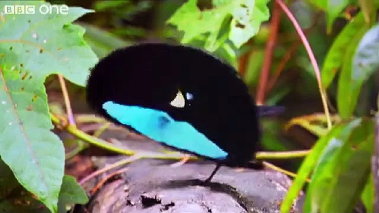 ❤