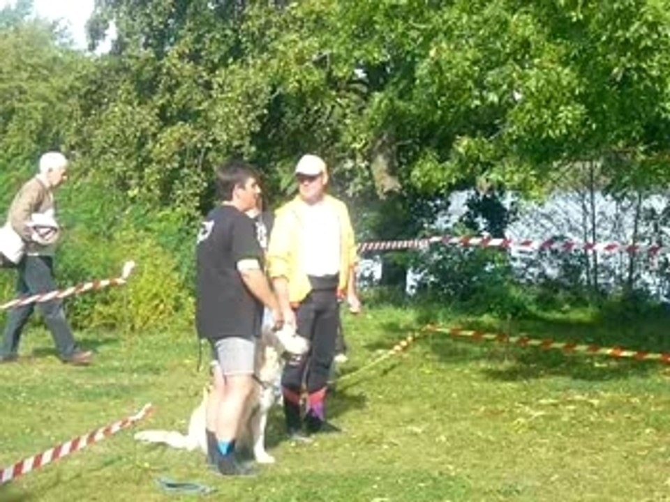 Teddy travail au sol 3ème degré