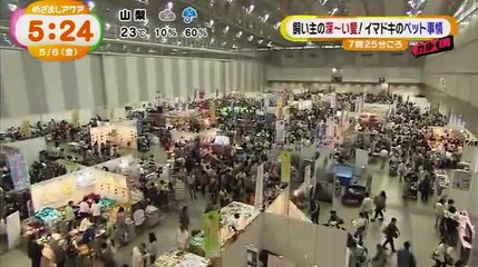 めざましテレビ　アクア 2016年5月6日 160506 part 2 part 2/2
